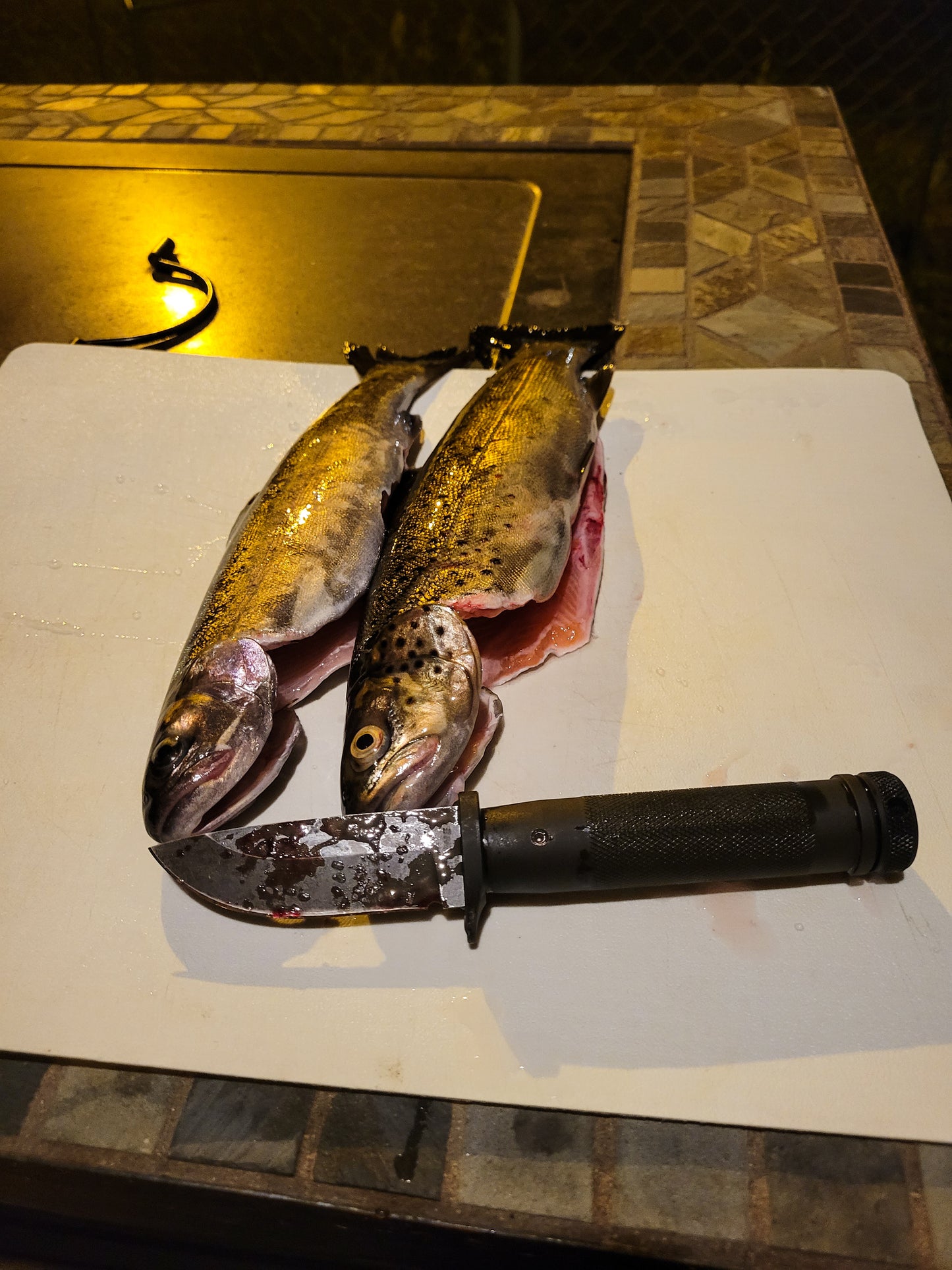 P.A.C.K.Lite "Scout" Hollow Handle Survival Knife